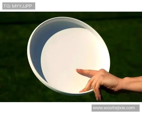 李强独家分享飞盘技巧与心得体会助你提升飞盘水平的秘诀