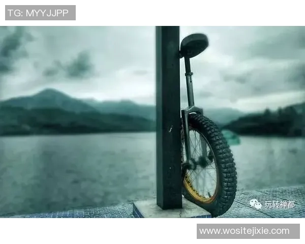 深圳极限运动队灵活性对比分析与发展趋势探讨