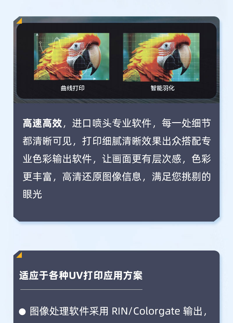 d2e8d928b 365上市公司(英国)集团-官方网站