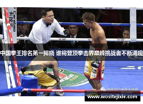 中国拳王排名第一揭晓 谁将登顶拳击界巅峰挑战者不断涌现