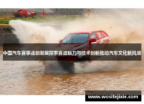 中国汽车赛事蓬勃发展探索赛道魅力与技术创新推动汽车文化新风潮